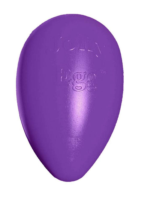 Jolly Pet Egg Hard Plastic Dog Toy Purple LG 12in