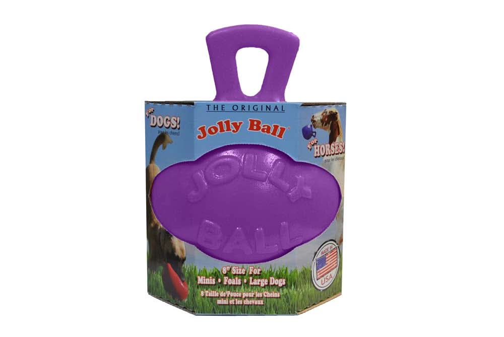 Jolly Pet Tug-n-Toss Dog Toy Purple 8in LG