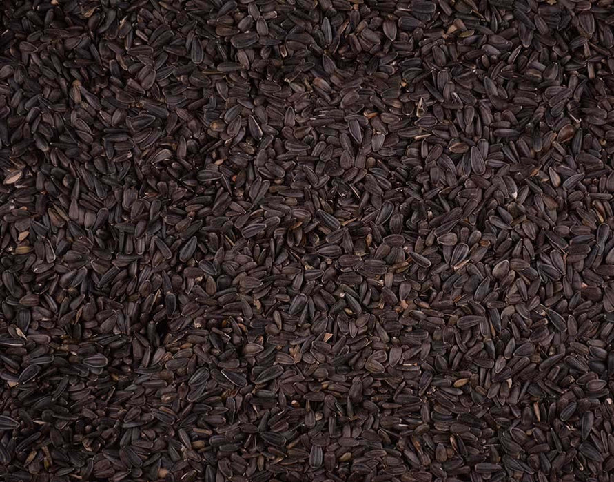 Volkman Seed Company Winner's Cup Single Seed Black Oil Sunflower Bird Food 20lb SM