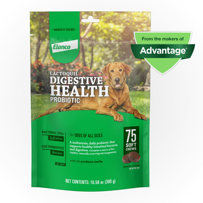Elanco Lactoquil Digestive Health Probiotic Soft Chew Supplement for Dogs 75ct