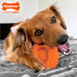 Nylabone Power Chew Donut Dog Chew Toy 70th Birthday Orange Pumpkin & Peanut Butter Large (1 Count)