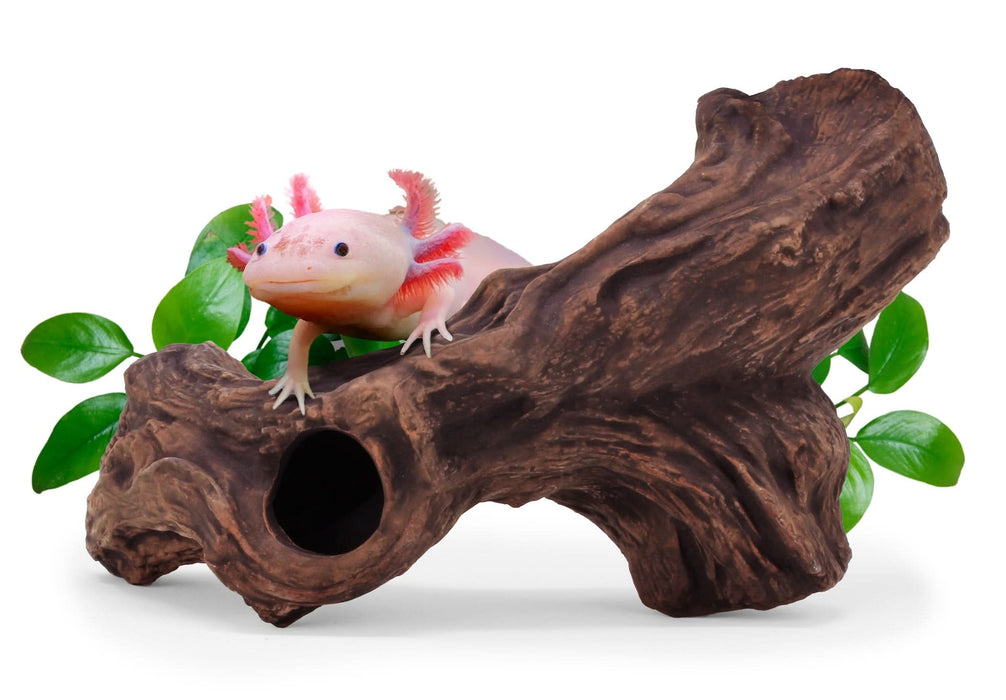 aquavitro Ceramic Hides Aquatic Ornament B3 One Size