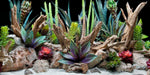 Seaview Double-Sided Background Multi-Color 12 in x 50 ft - Image 2