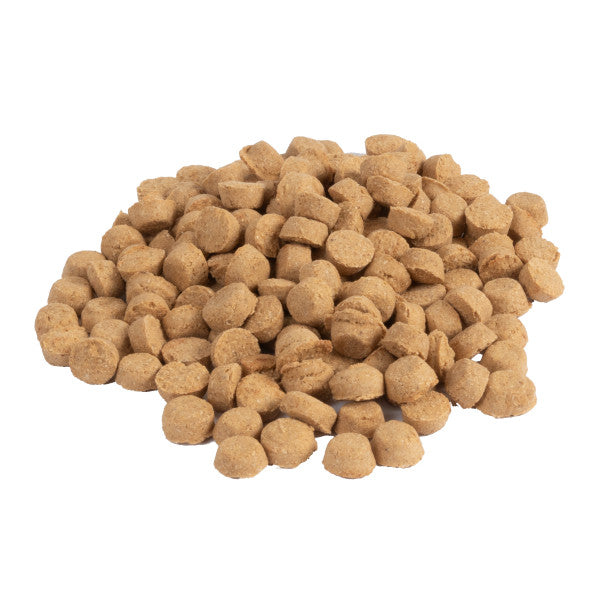 Darford Trainers Dog Training Treats 15lb