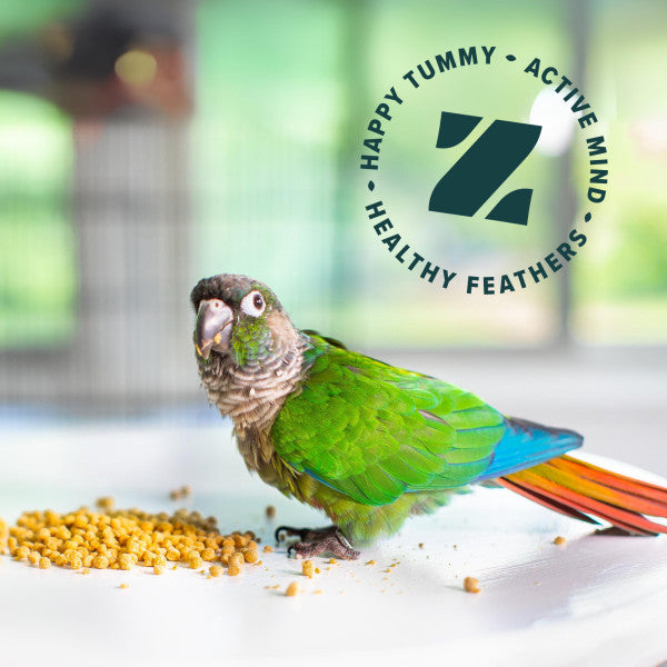 ZuPreem Ture Harvest Natural Bird Food for Parrots & Conures - African Greys, Amazons, Cockatoos 10lb
