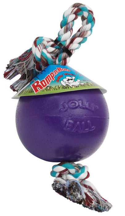 Jolly Pet Romp-n-Roll Dog Toy Durable Purple LG 8in