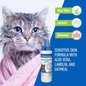 Adams Plus Flea & Tick Foaming Shampoo & Wash for Cats & Kittens 10 fluid ounces