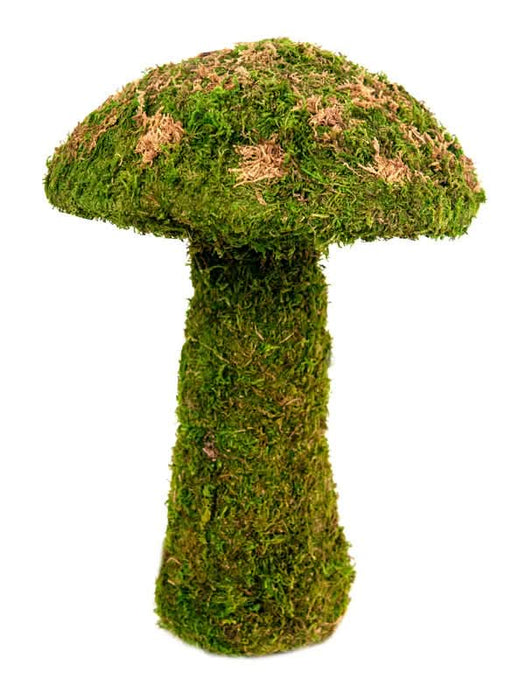 Galapagos Moss Mushroom Decorative Terrarium Ornament Fresh Green 14in MD