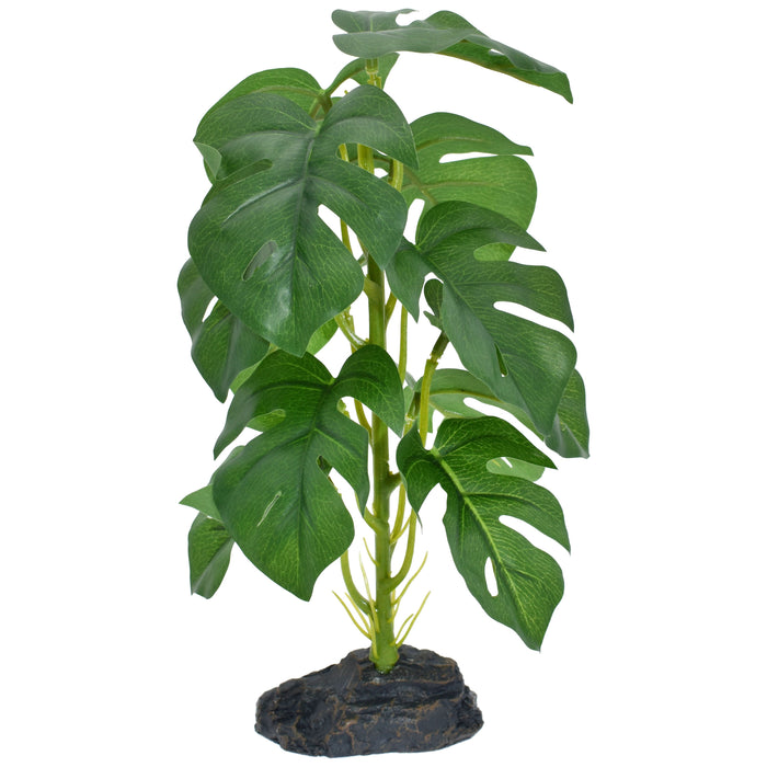 Komodo Standing Monstera Plant 10in