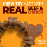 Nylabone Strong Chew Textured Ring Dog Chew Toy Made with Real Beef & Chicken Small (1 Count)