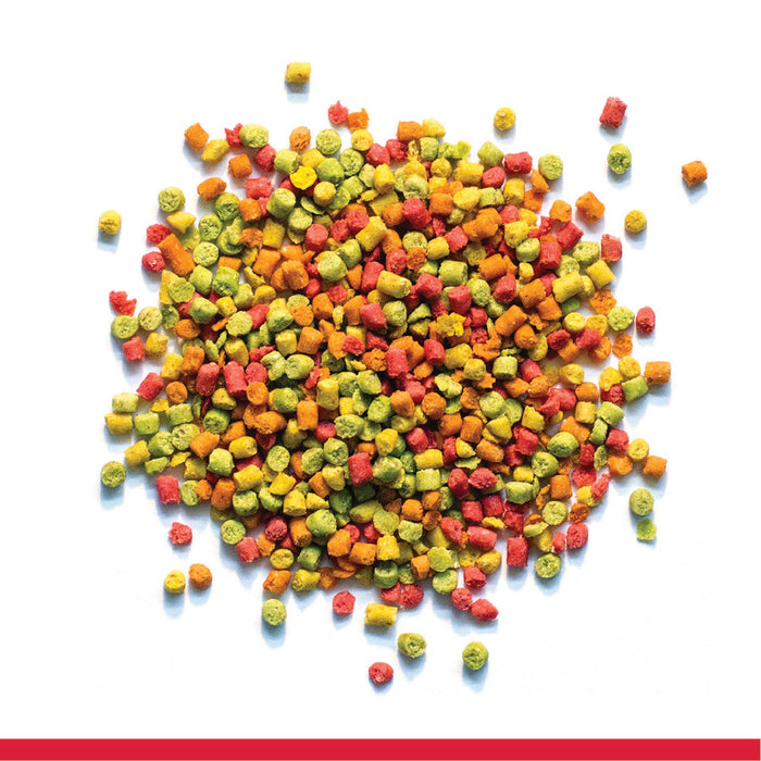 ZuPreem FruitBlend Bird Food for Small Birds - Parakeets, Budgies, Parrotlets 0.875lb