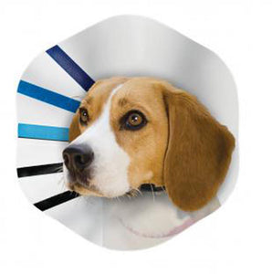KONG E-Collar Clear/Blue/Black LG - Image 2