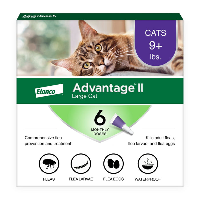 Elanco Advantage II Topical Flea Treatment & Prevention for Cats 6-Month Supply LG Cats (Over 9lbs) - Image 2