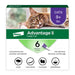 Elanco Advantage II Topical Flea Treatment & Prevention for Cats 6-Month Supply LG Cats (Over 9lbs) - Image 2