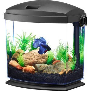Aqueon BettaBow with Quick Clean Technology Aquarium Kit, Black Black 1 Gallon - Image 2