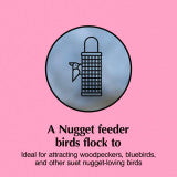 C&S Nugget Feeder 24 Ounces (Pack of 8)