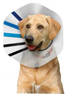 KONG E-Collar Clear/Blue/Black XL - Image 2