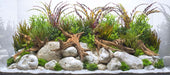Seaview Double Sided Background Crisp River & Coastal Hues 12 Inches X 50 Feet - Image 2