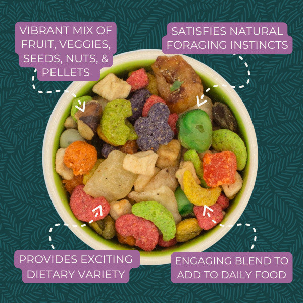 ZuPreem Pure Fun Bird Food for Small Birds - Parakeets, Budgies, Parrotlets, Canaries, Finches 2lb
