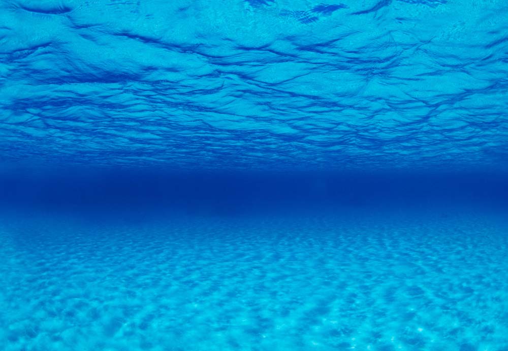 Seaview Double Sided Background Seascape & Natural Mystic 18 Inches X 50 Feet - Image 2