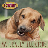 Cadet Gourmet Duck Breast Treats for Dogs 3 Ounce (Pack of 1)