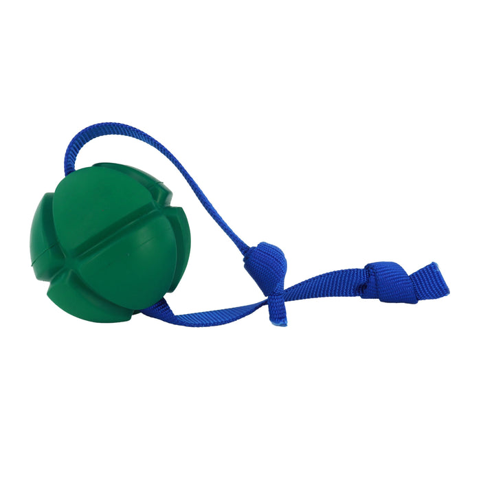 Coastal PetKORE FloTek Tug Dog Toy LG