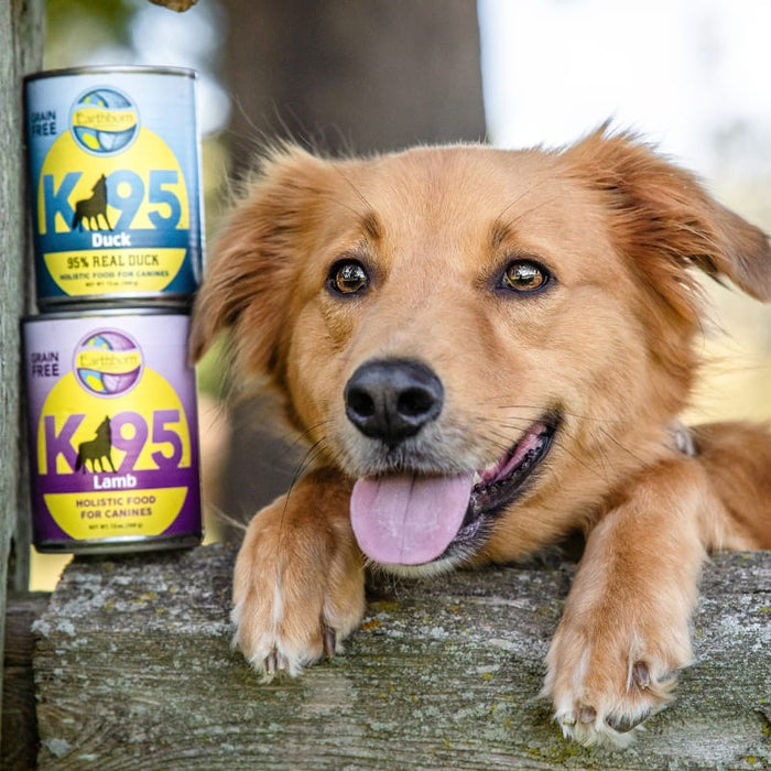 Earthborn Holistic Grain Free K95 Meat Protein Wet Dog Food Lamb 13oz (Pack of 12)