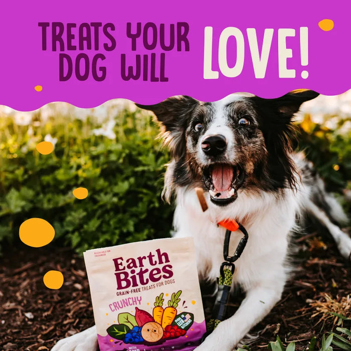 Earthborn Holistic EarthBites Crunchy Dog Treats Lamb & Pumpkin 10oz