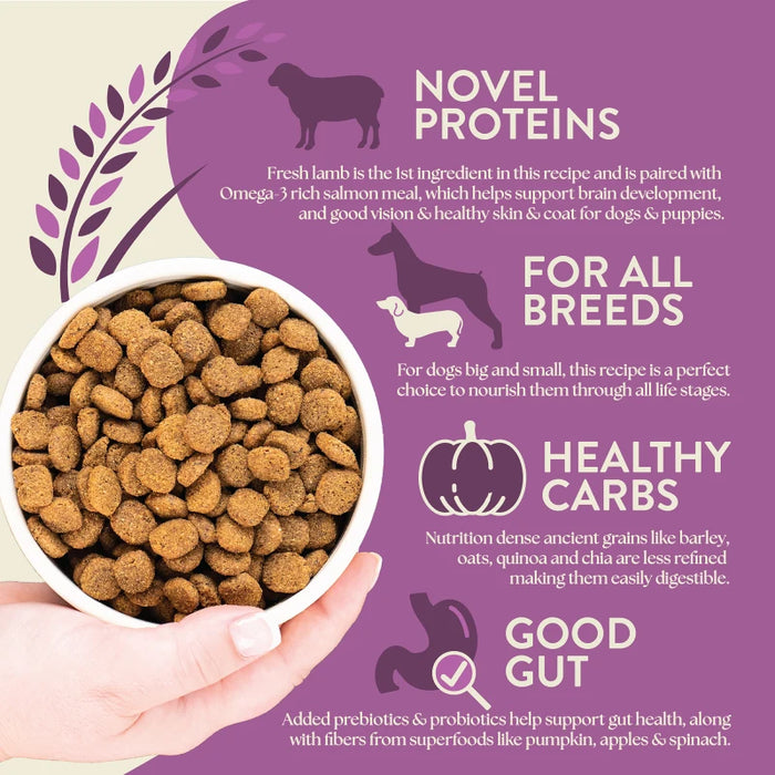 Earthborn Holistic Unrefined Ancient Grains & Superfoods Dry Dog Food Roasted Lamb 25lb