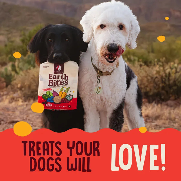 Earthborn Holistic EarthBites Crunchy Dog Treats Bison & Pumpkin 10oz