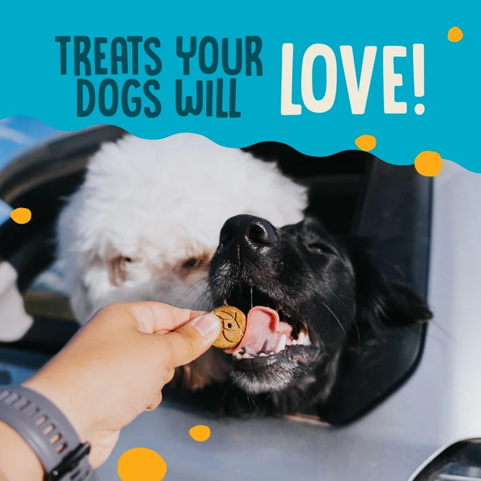 Earthborn Holistic EarthBites Crunchy Dog Treats Salmon & Pumpkin 10oz