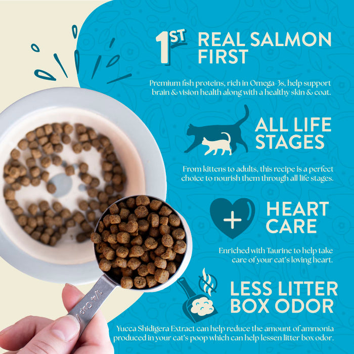 Earthborn Holistic Wild Sea Catch Grain Free Dry Cat Food 14lb