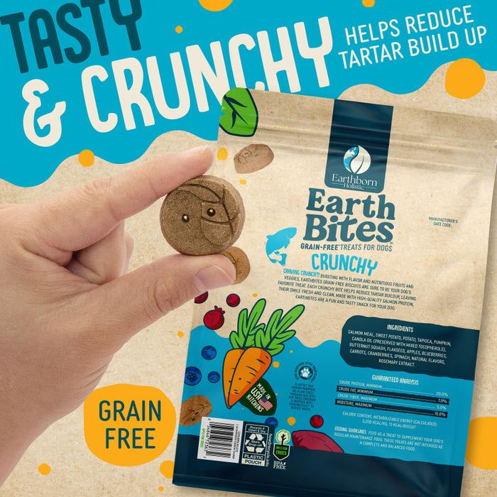 Earthborn Holistic EarthBites Crunchy Dog Treats Salmon & Pumpkin 10oz