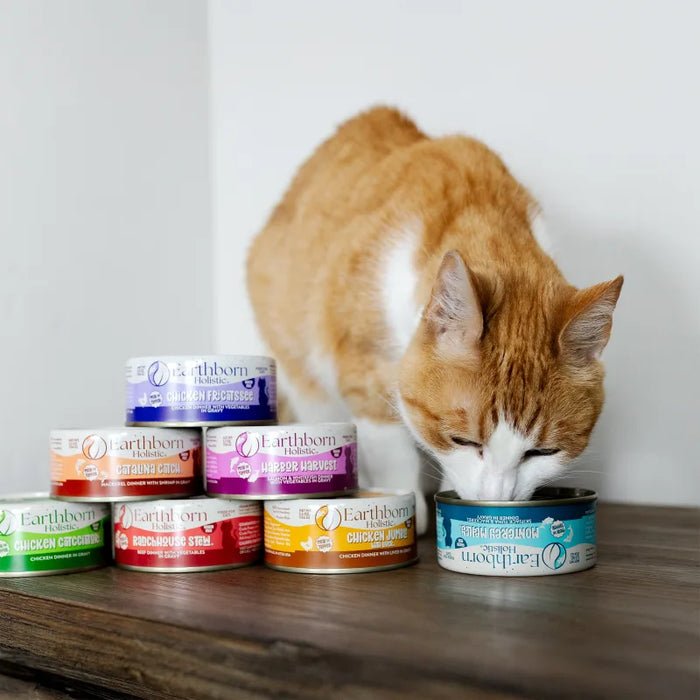 Earthborn Holistic Grain Free Monterey Medley Wet Cat Food 3oz 24pk