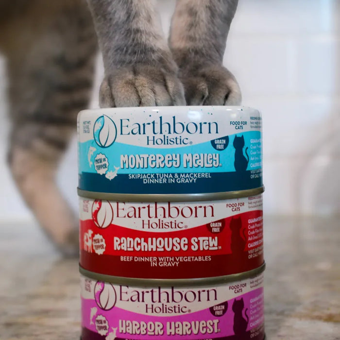 Earthborn Holistic Grain Free RanchHouse Stew Beef Wet Cat Food 5.5oz 24pk