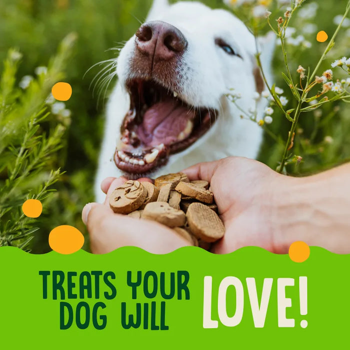 Earthborn Holistic EarthBites Crunchy Dog Treats Turkey & Pumpkin 10oz