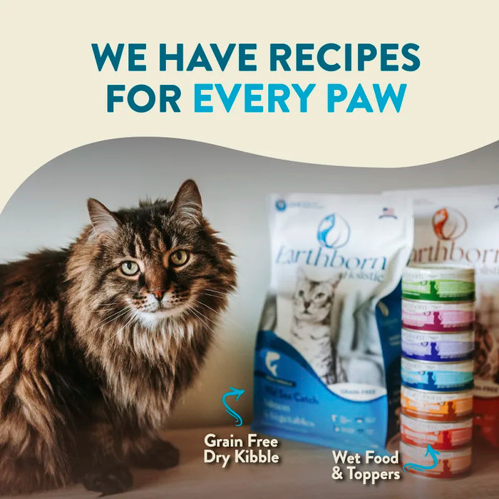 Earthborn Holistic Wild Sea Catch Grain Free Dry Cat Food 14lb