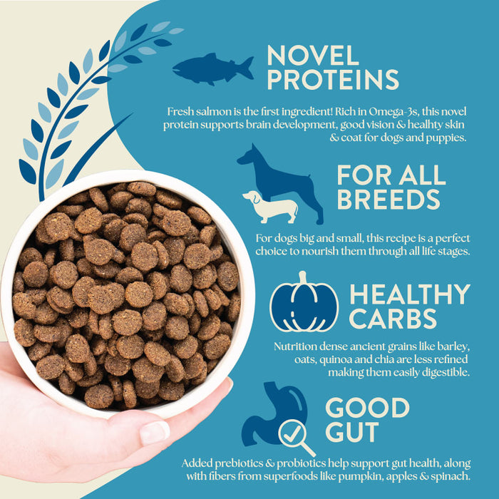Earthborn Holistic Unrefined Ancient Grains & Superfoods Dry Dog Food Smoked Salmon 25lb