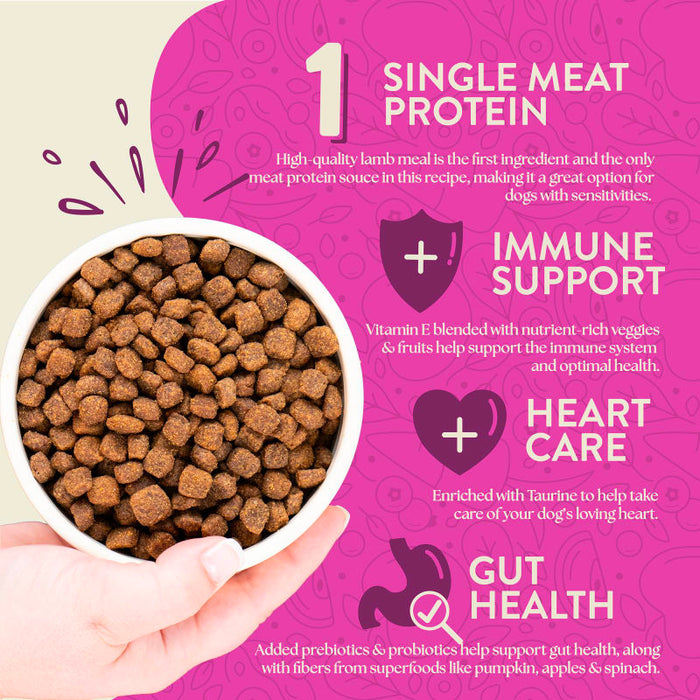 Earthborn Holistic Meadow Feast Grain-Free Dry Dog Food Lamb Meal & Vegetables 4lb