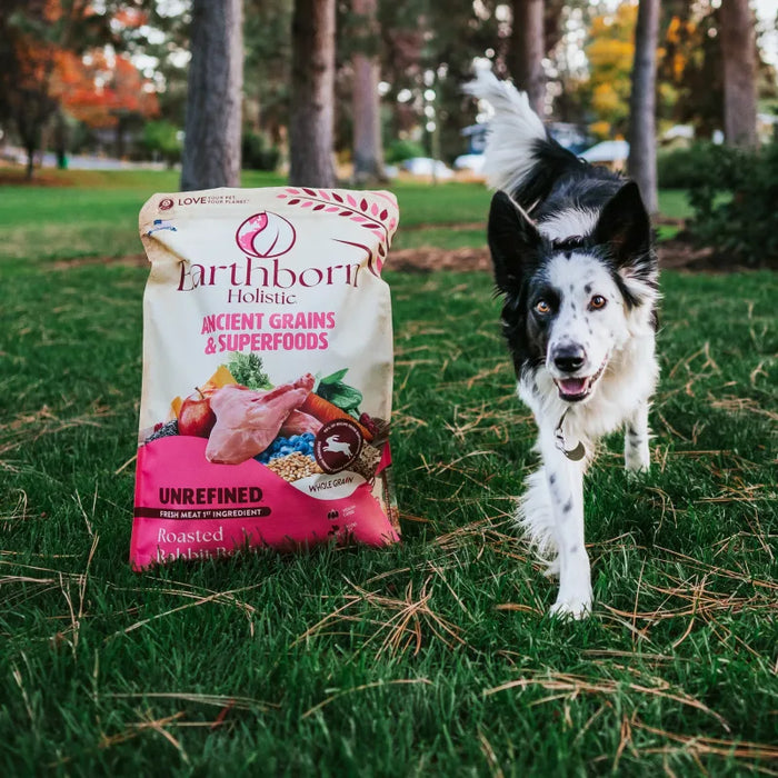 Earthborn Holistic Unrefined Ancient Grains & Superfoods Dry Dog Food Roasted Rabbit 25lb