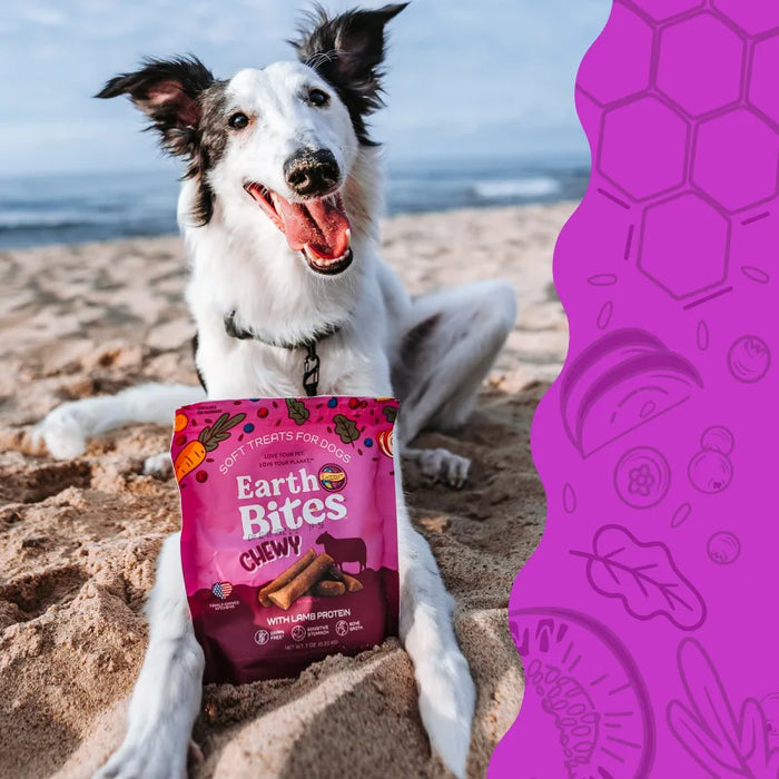 Earthborn Holistic EarthBites Chewy Soft Dog Treats Lamb 7oz