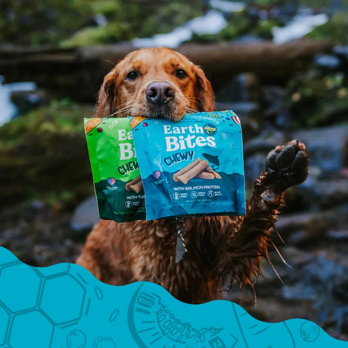 Earthborn Holistic EarthBites Chewy Soft Dog Treats Salmon 7oz