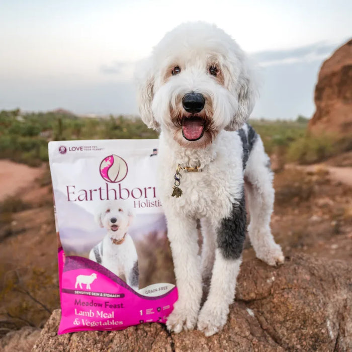 Earthborn Holistic Meadow Feast Grain-Free Dry Dog Food Lamb Meal & Vegetables 4lb