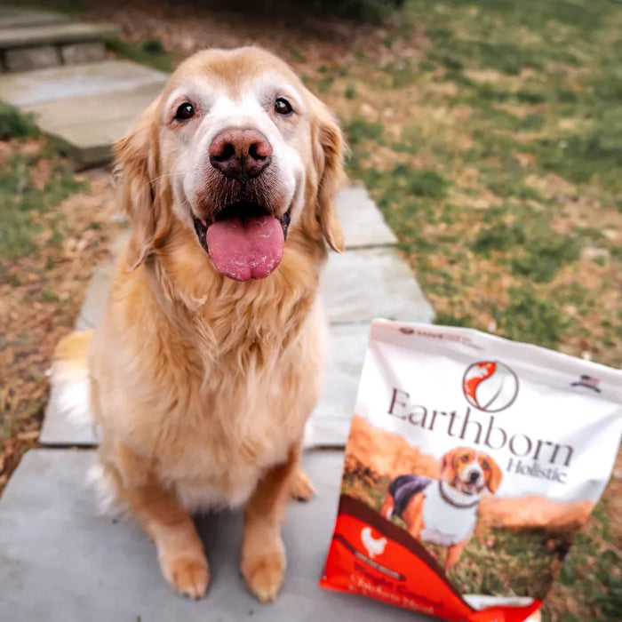 Earthborn Holistic Weight Control Grain-Free Dry Dog Food Chicken Meal & Vegetables 4lb