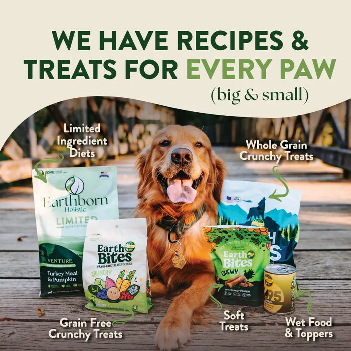 Earthborn Holistic Venture Limited Ingredient Diet Grain-Free Dry Dog Food Turkey Meal & Pumpkin 4lb
