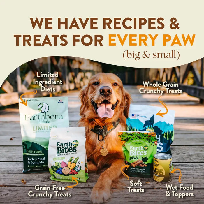 Earthborn Holistic Great Plains Feast Grain-Free Dry Dog Food Bison Meal & Vegetables 4lb