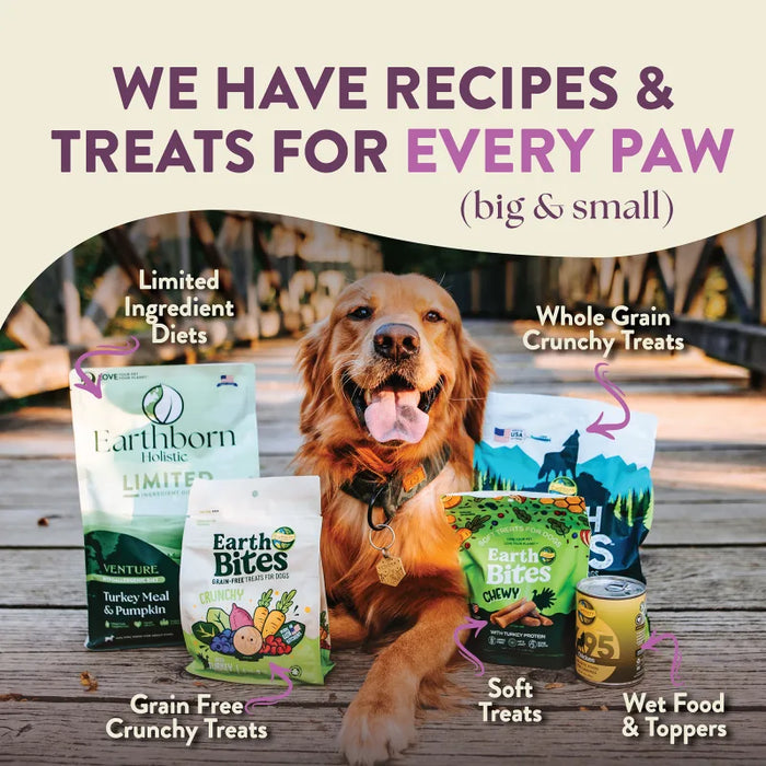 Earthborn Holistic Unrefined Ancient Grains & Superfoods Dry Dog Food Roasted Lamb 25lb