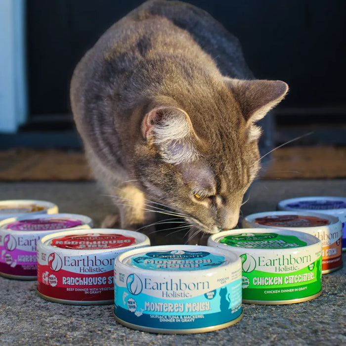 Earthborn Holistic Grain Free Chicken Catcciatori Wet Cat Food 3oz 24pk