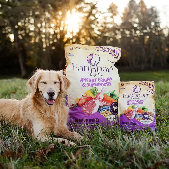 Earthborn Holistic Unrefined Ancient Grains & Superfoods Dry Dog Food Roasted Lamb 25lb