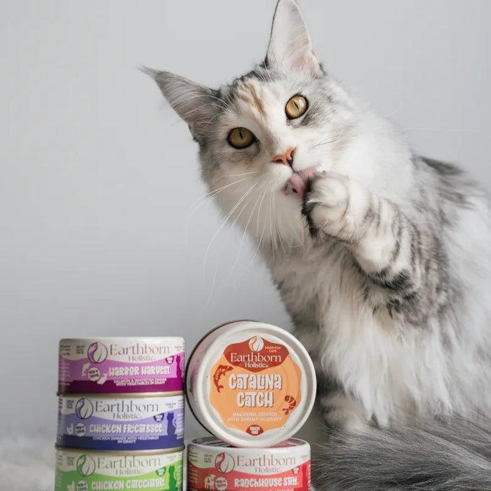 Earthborn Holistic Grain Free Catalina Catch Wet Cat Food 3oz 24pk